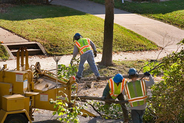 Best Commercial Tree Services  in Beattystown, NJ